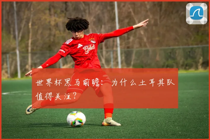 世界杯黑马前瞻:为什么土耳其队值得关注?