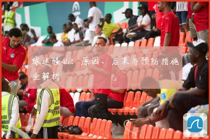 球迷骚乱:原因、后果与预防措施全解析